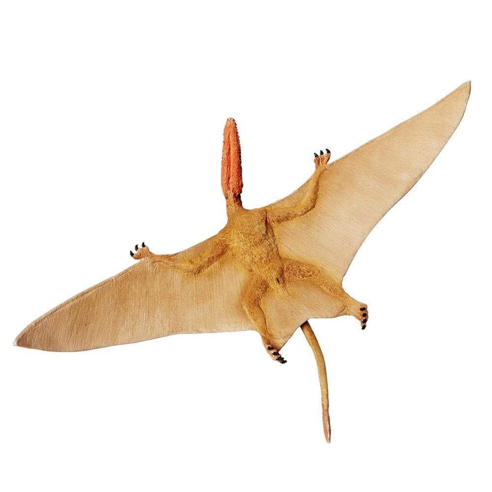 Safari Ltd. - Dimorphodon Kids Prehistoric/Dinosaur Toy Figure