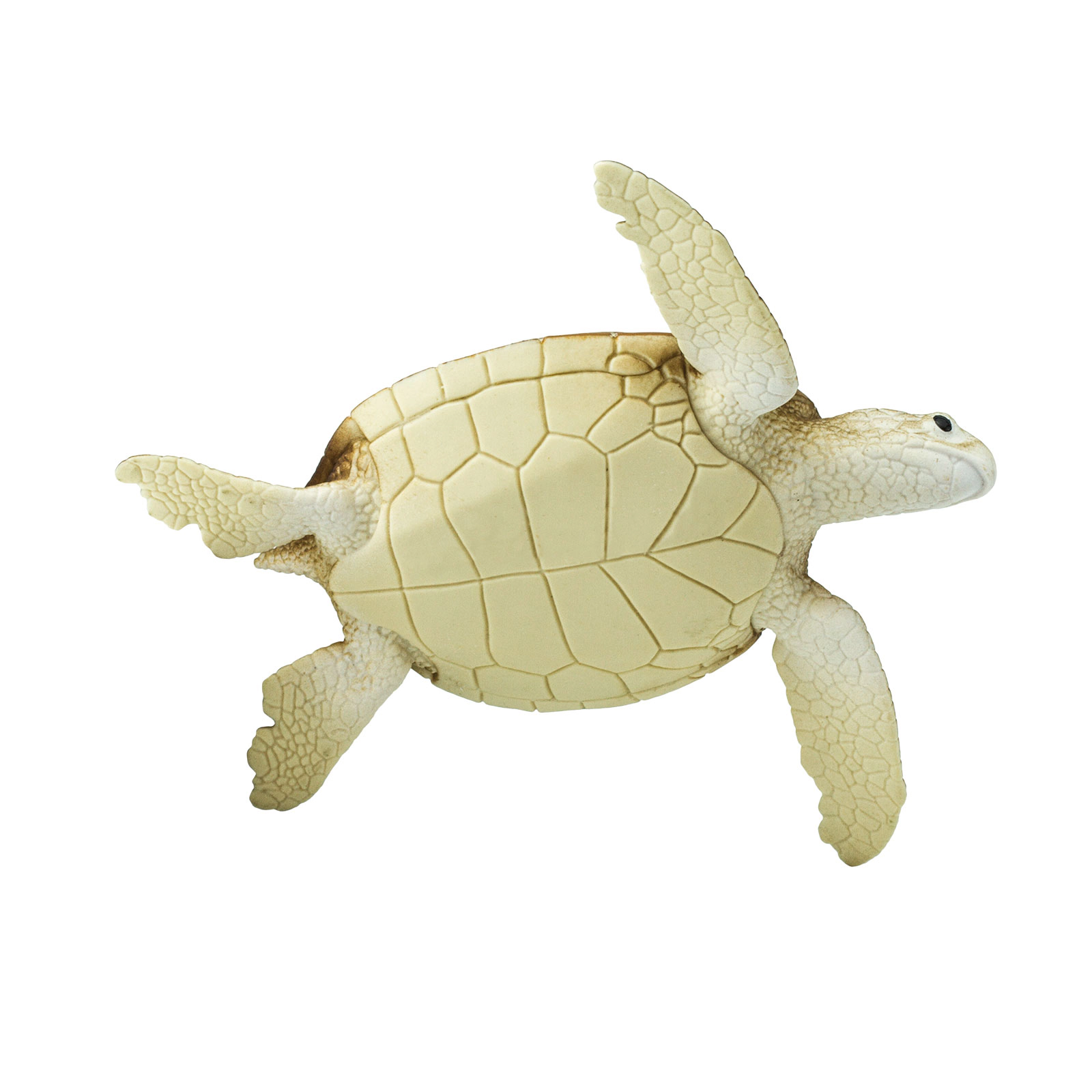 Safari Ltd. - Green Sea Turtle Kids Toy Figure