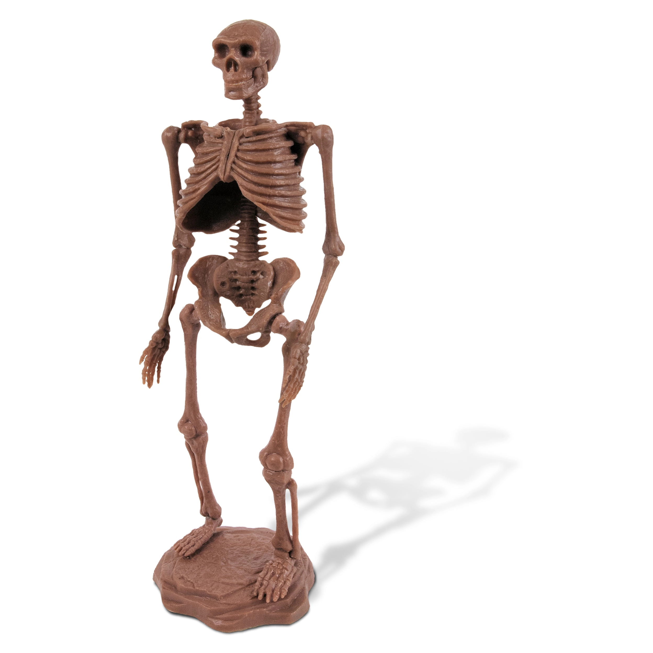 Geoworld - Cave man Excavation Kit Homo neanderthalensis Kids Toy Set
