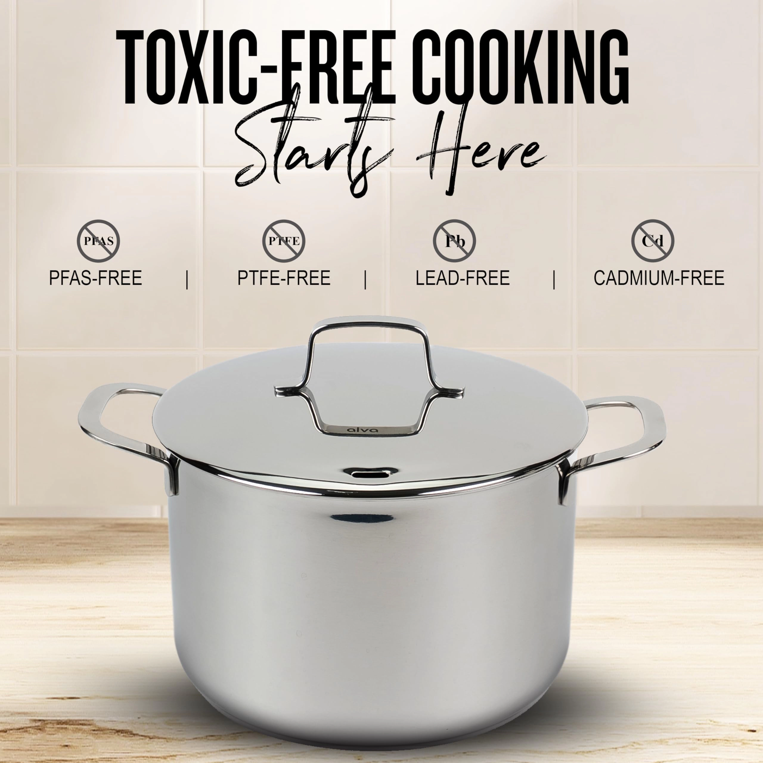 Alva Maestro Stainless Steel 8-Qt Stock Pot with Lid