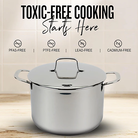Alva Maestro Stainless Steel 8-Qt Stock Pot with Lid
