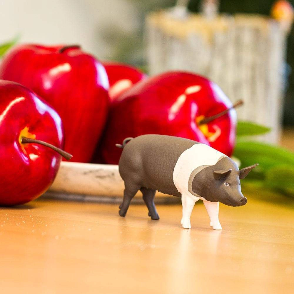 Safari Ltd. - Hampshire Pig Kids Toy Figure