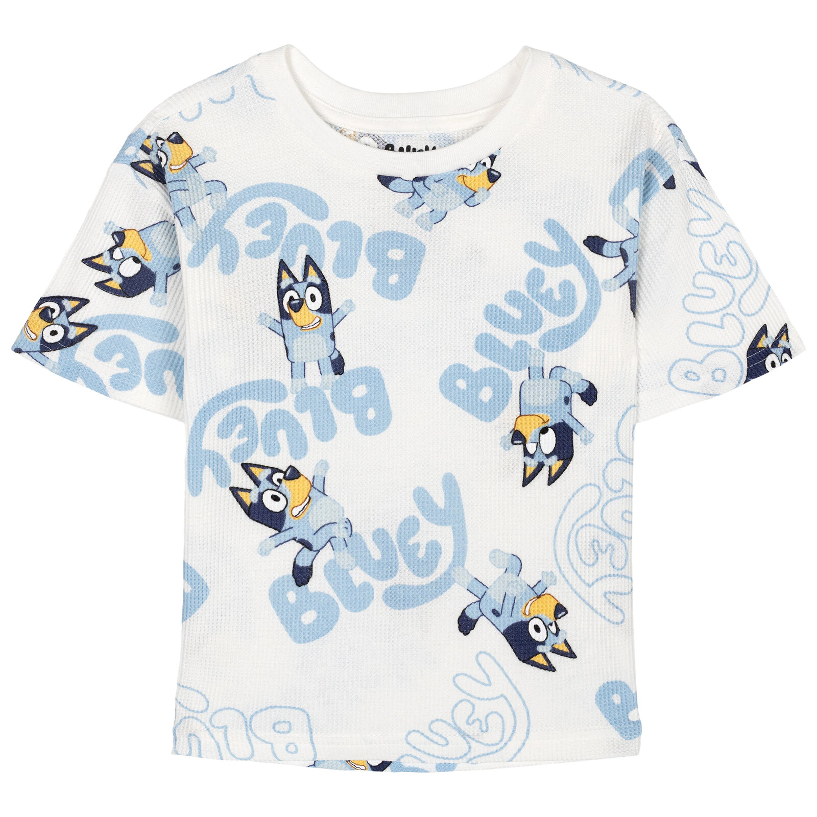 Bluey Boys' 2-Piece T-Shirt and Shorts Set