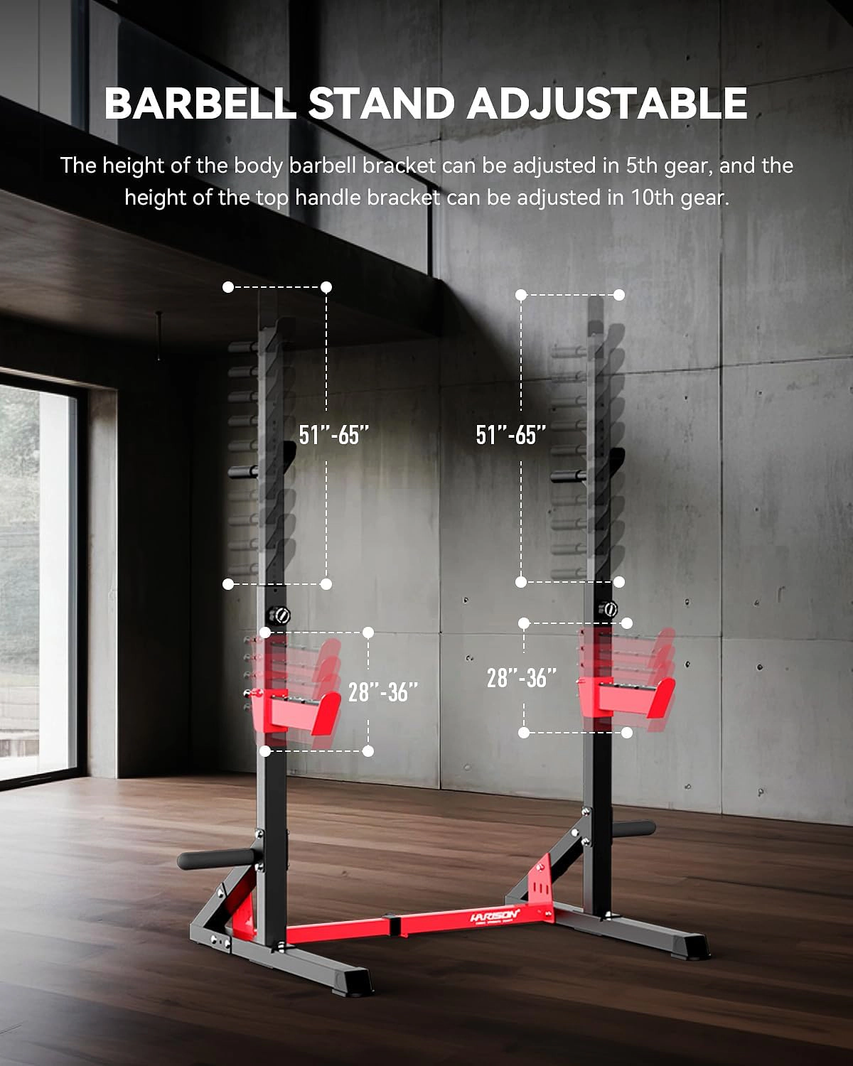 HARISON Adjustable Squat Rack for Home Gym, 650 LB Half Rack with Pull-Up & Dip Stations