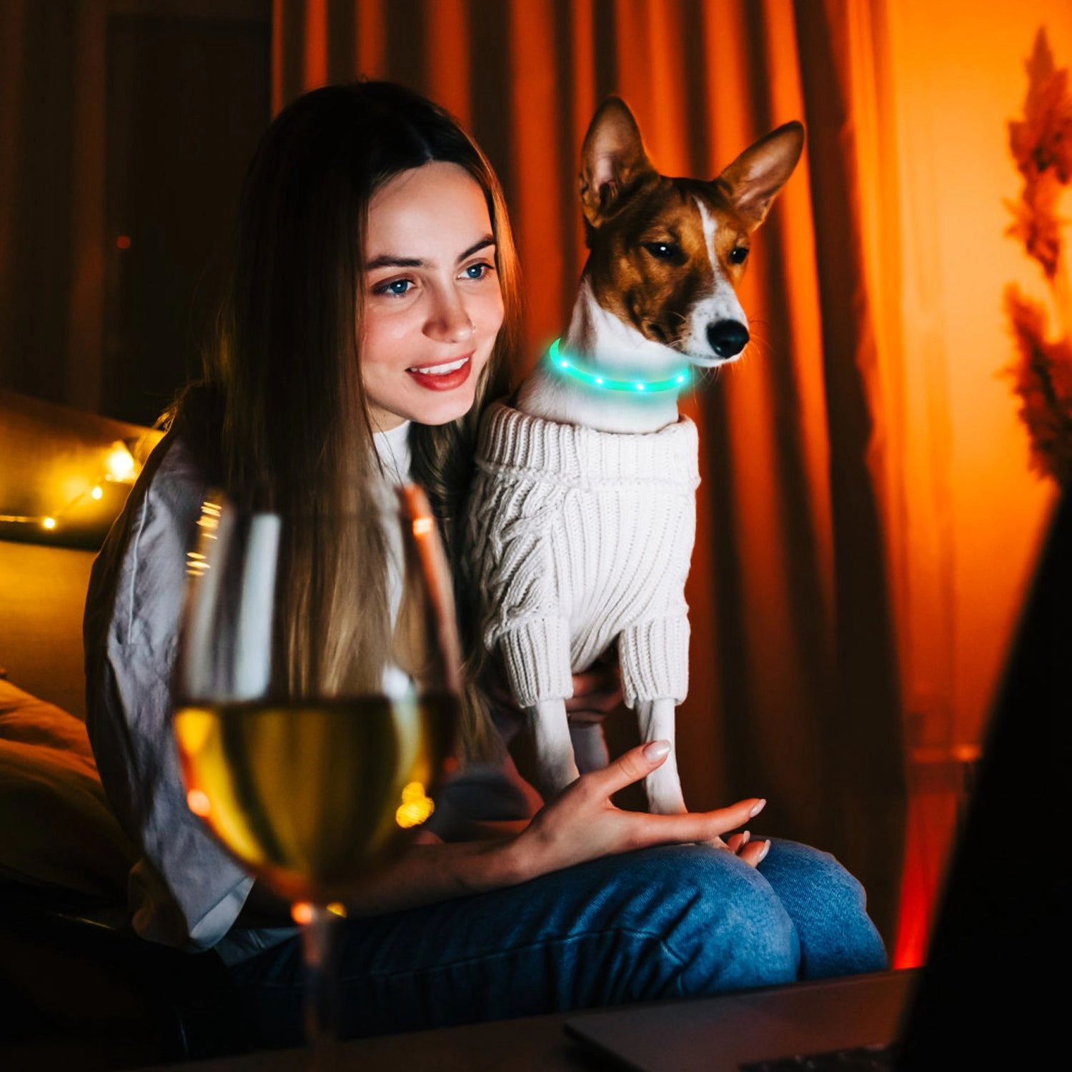 GBruno USB Rechargeable LED Dog Collar 35 Cm