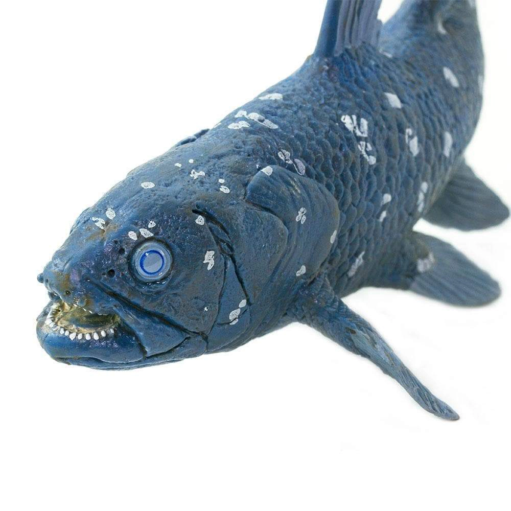 Safari Ltd. - Coelacanth Kids Prehistoric/Dinosaur Toy Figure