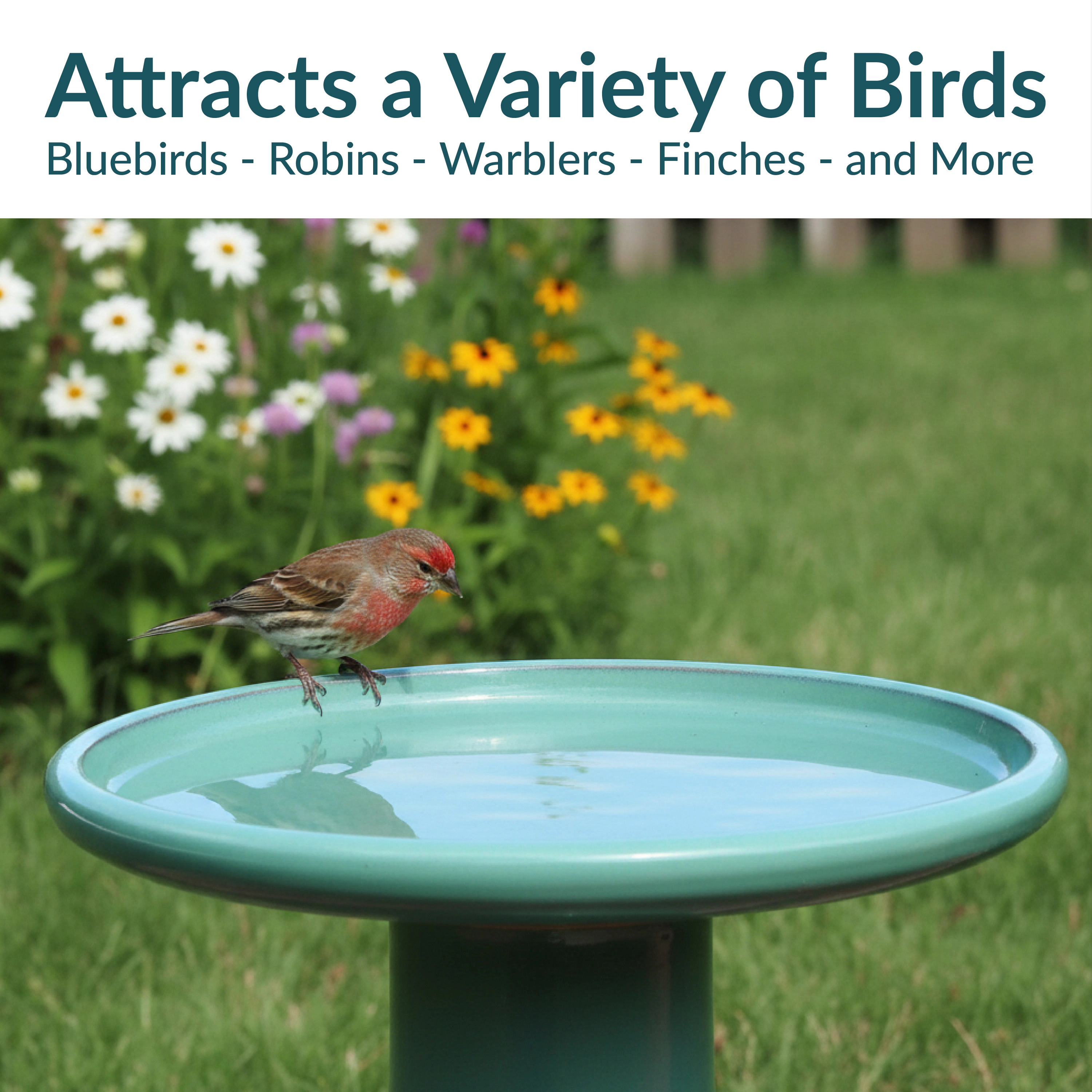 Sunnydaze Hand-Painted Ceramic Outdoor Bird Bath for Garden, 21” H, Seafoam