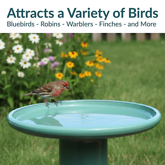 Sunnydaze Hand-Painted Ceramic Outdoor Bird Bath for Garden, 21” H, Seafoam