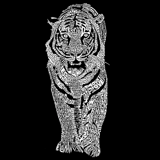 LA Pop Art Boys Long Sleeve T-Shirt -  Tiger