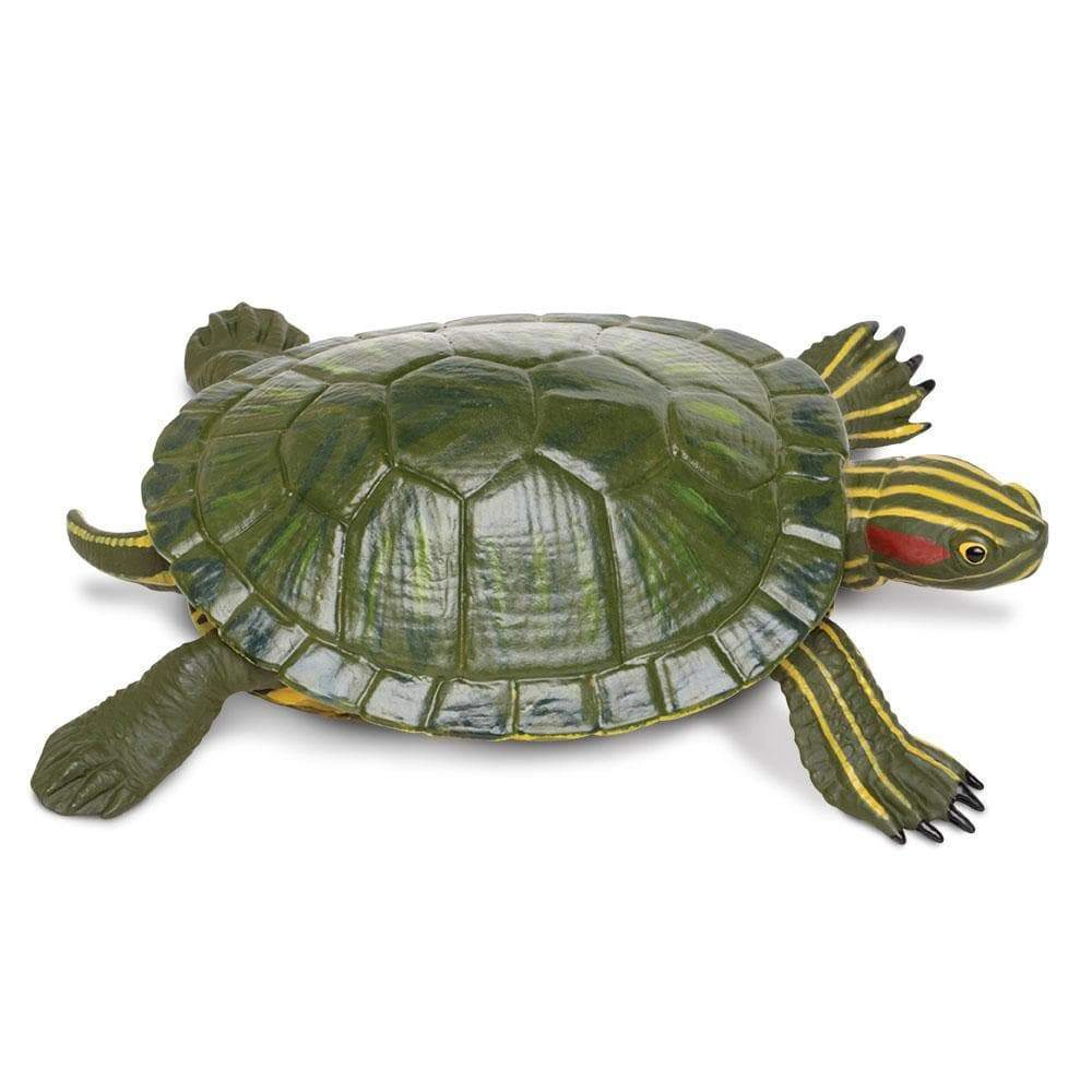 Safari Ltd. - Red-Eared Slider Turtle Kids Toy Figure