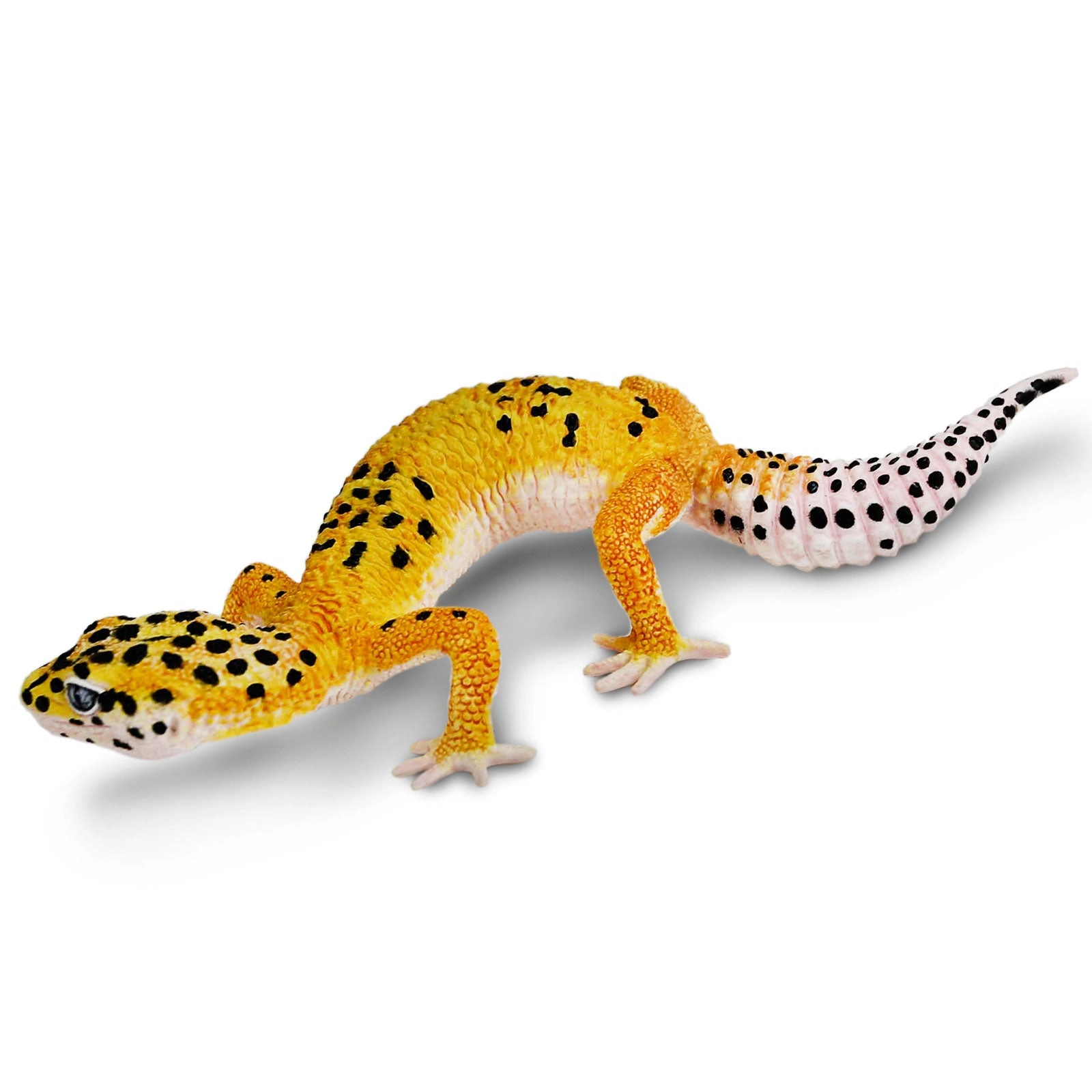 Safari Ltd. - Leopard Gecko Kids Toy Figure