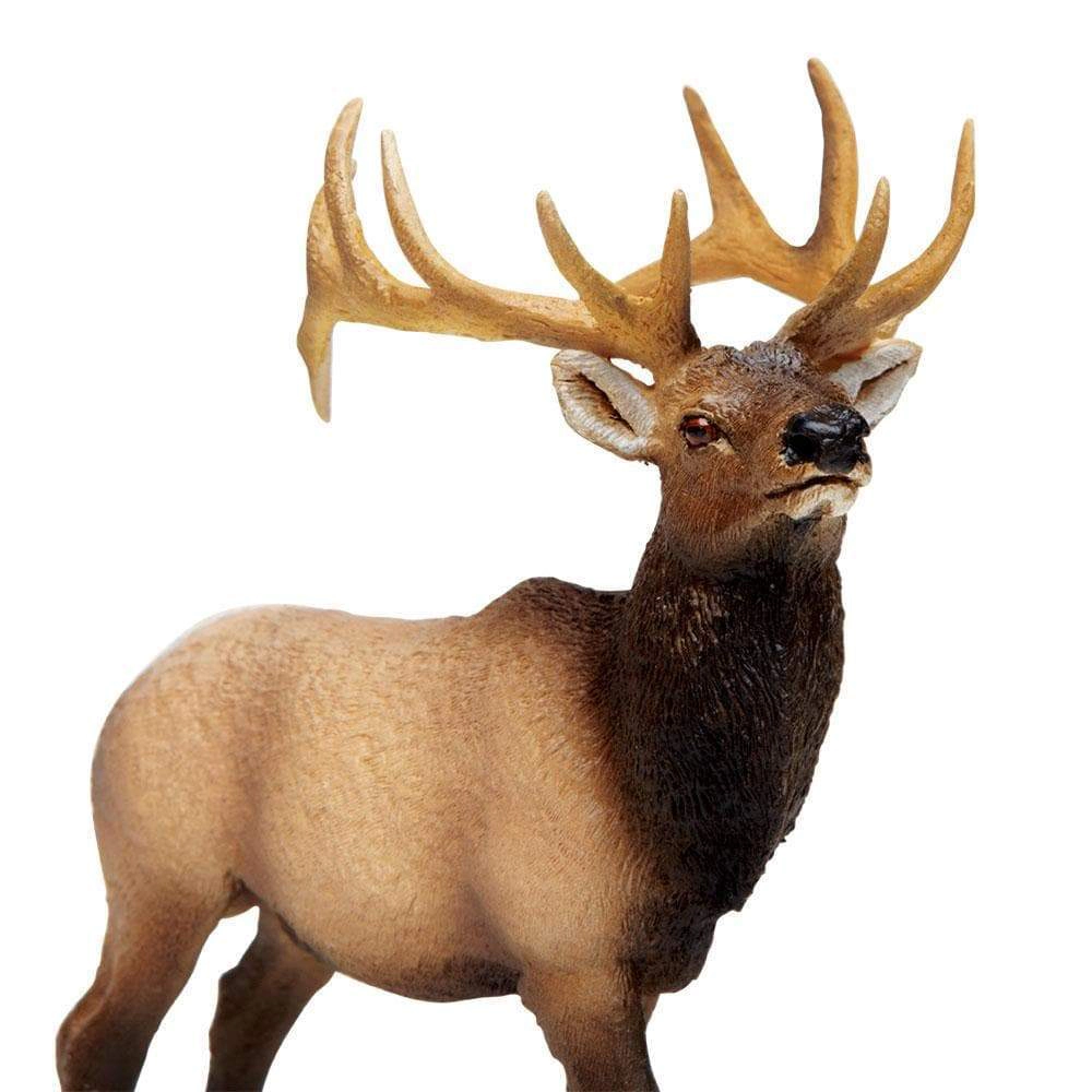 Safari Ltd. - Elk Bull Kids Toy Figure