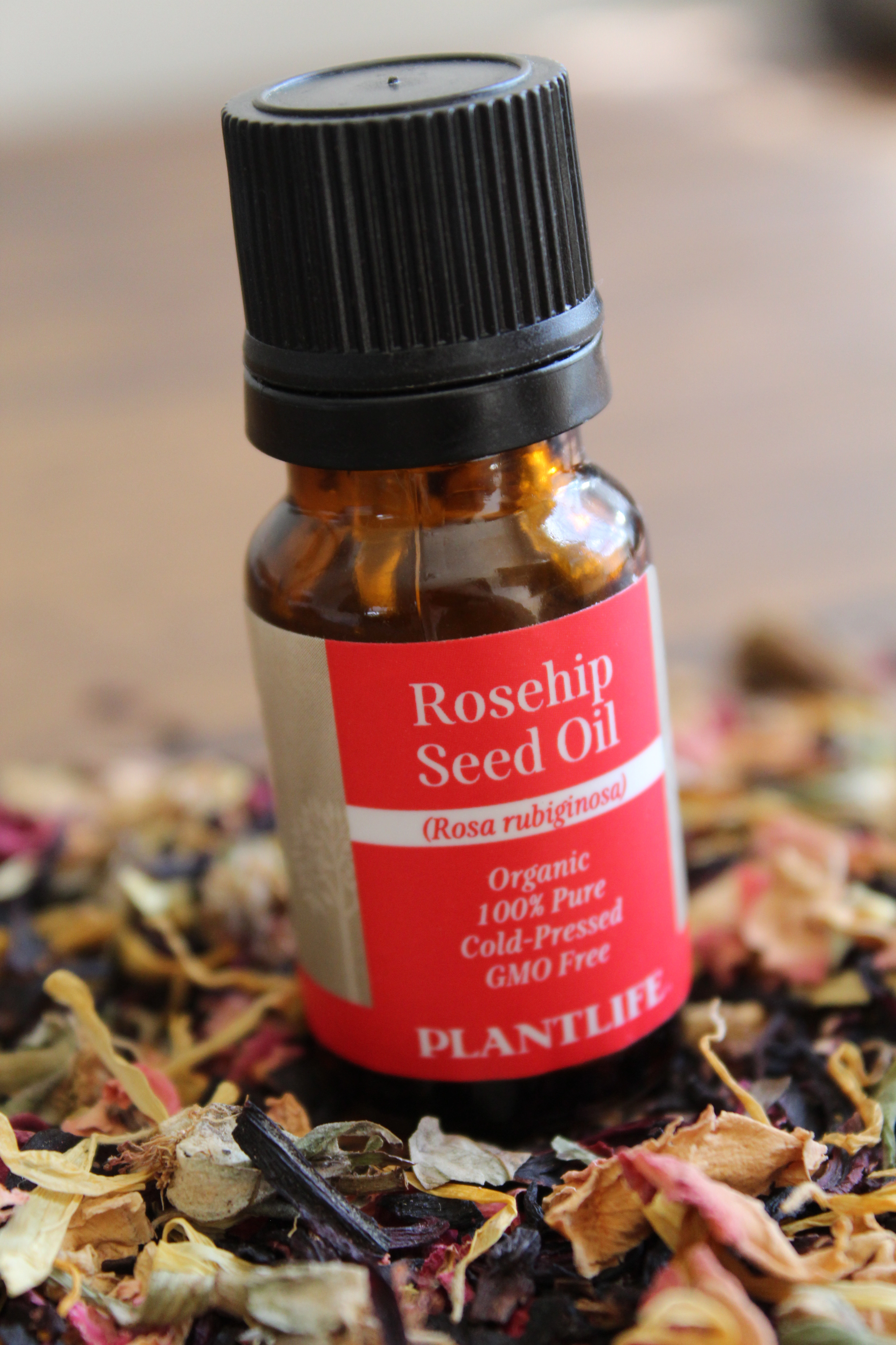 Plantlife Best Carrier Oils for Skin and Hair Set