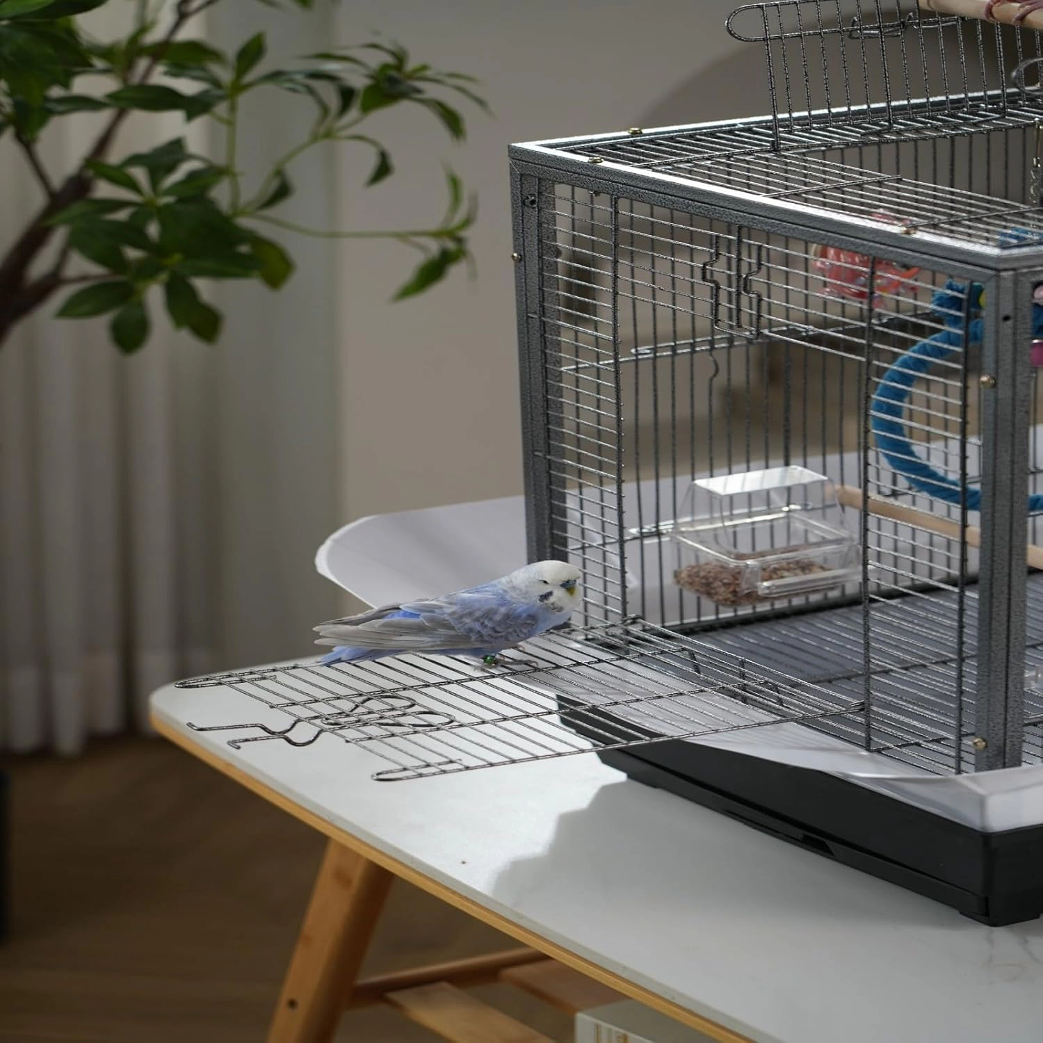 45x45x60cm Deluxe Metal Parrot Bird Cage, Spacious Breeding Aviary for Small-Medium Pet Birds, Black