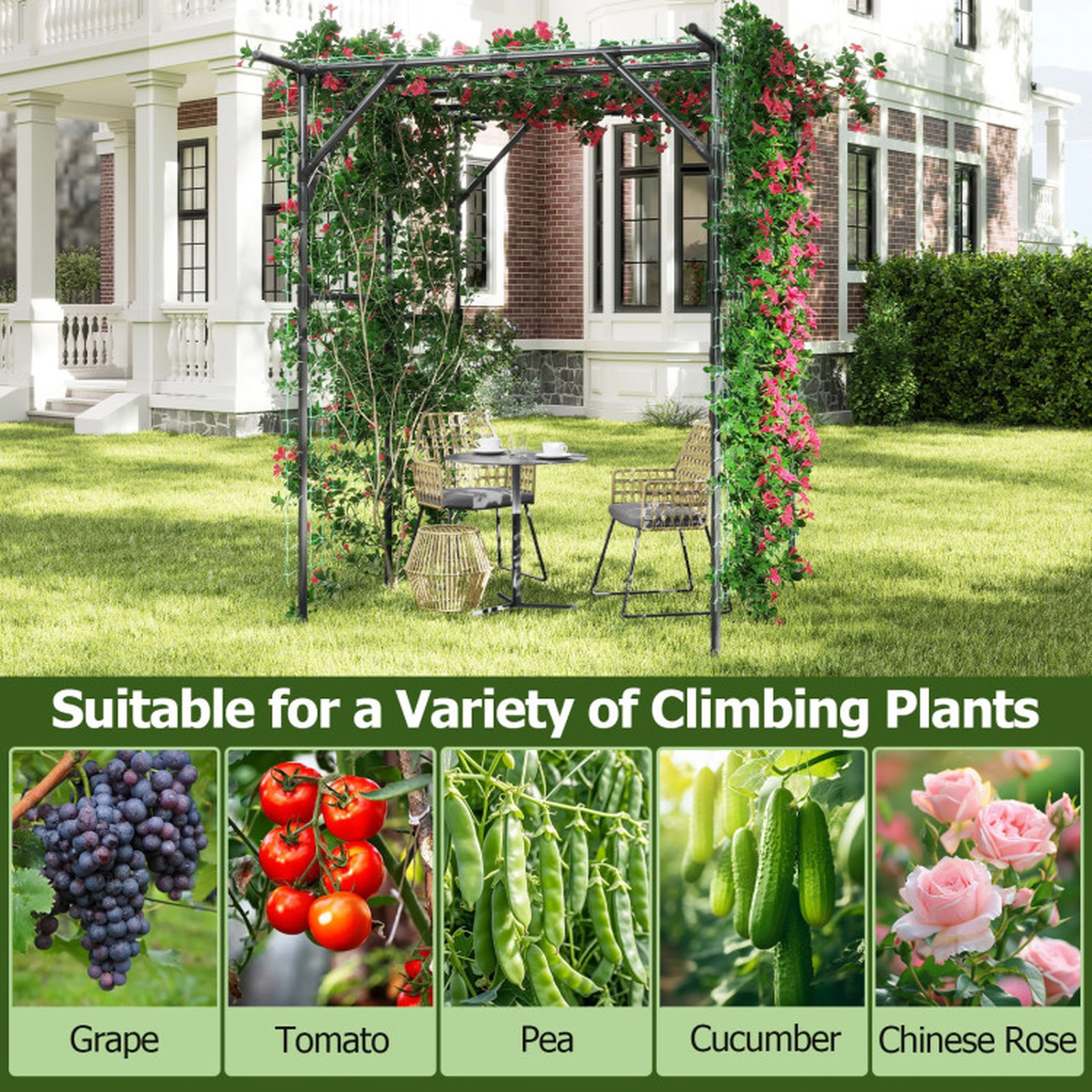 SUGIFT Large Garden Arch Trellis for Climbing Plants 79-in Tall Outdoor Grape Vine Support with Garden Netting Black