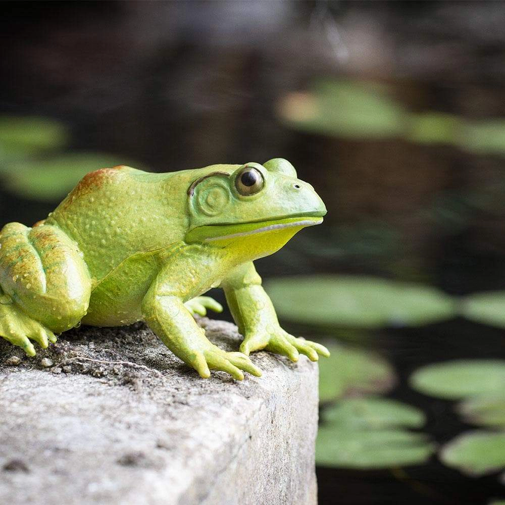 Safari Ltd. - American Bullfrog Kids Toy Figure