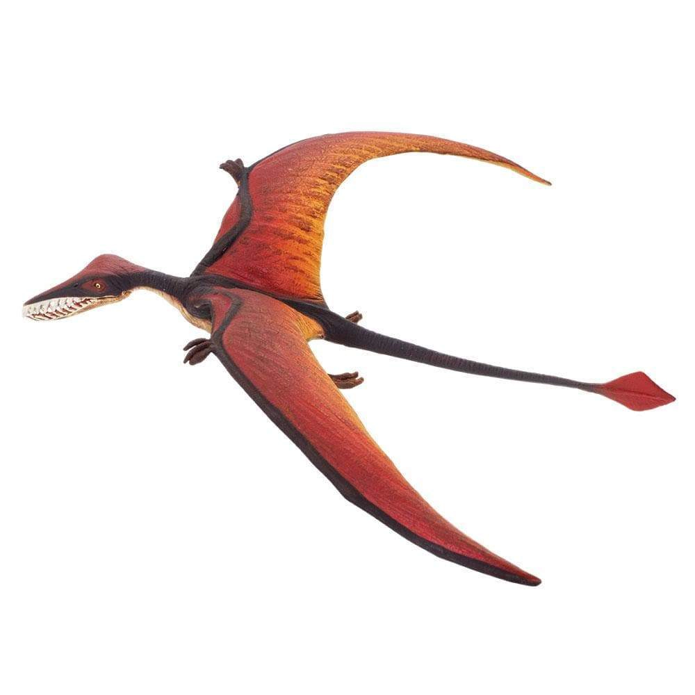 Safari Ltd. - Rhamphorhynchus Kids Prehistoric/Dinosaur Toy Figure
