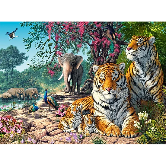 CASTORLAND 3000 Piece Jigsaw Puzzles, Tiger Sanctuary, Jungle wildlife puzzle, landscape, C-300600-2