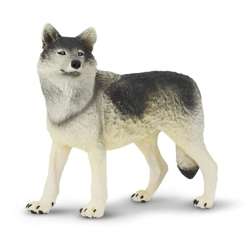 Safari Ltd. - Gray Wolf Kids Toy Figure