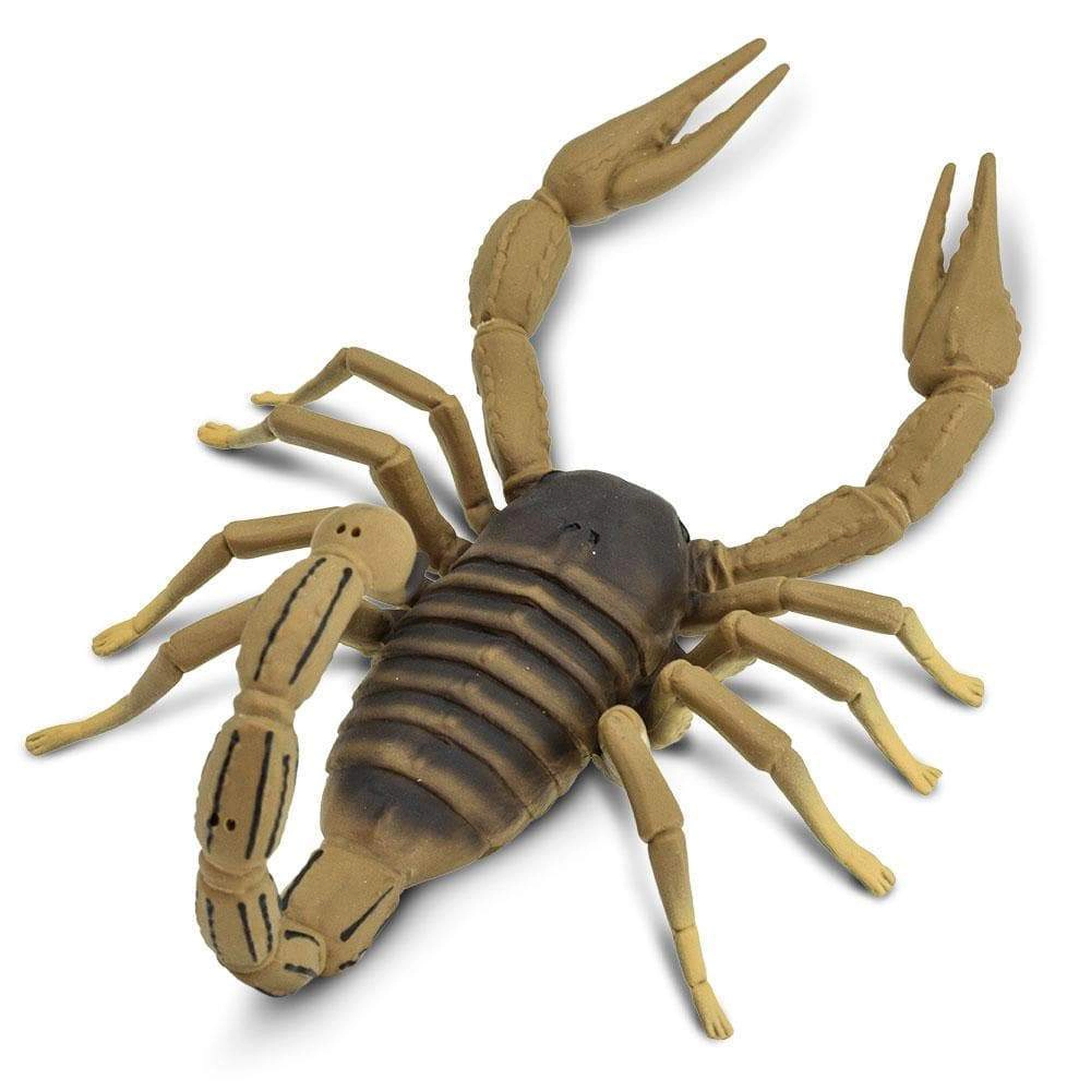 Safari Ltd. - Scorpion Kids Toy Figure