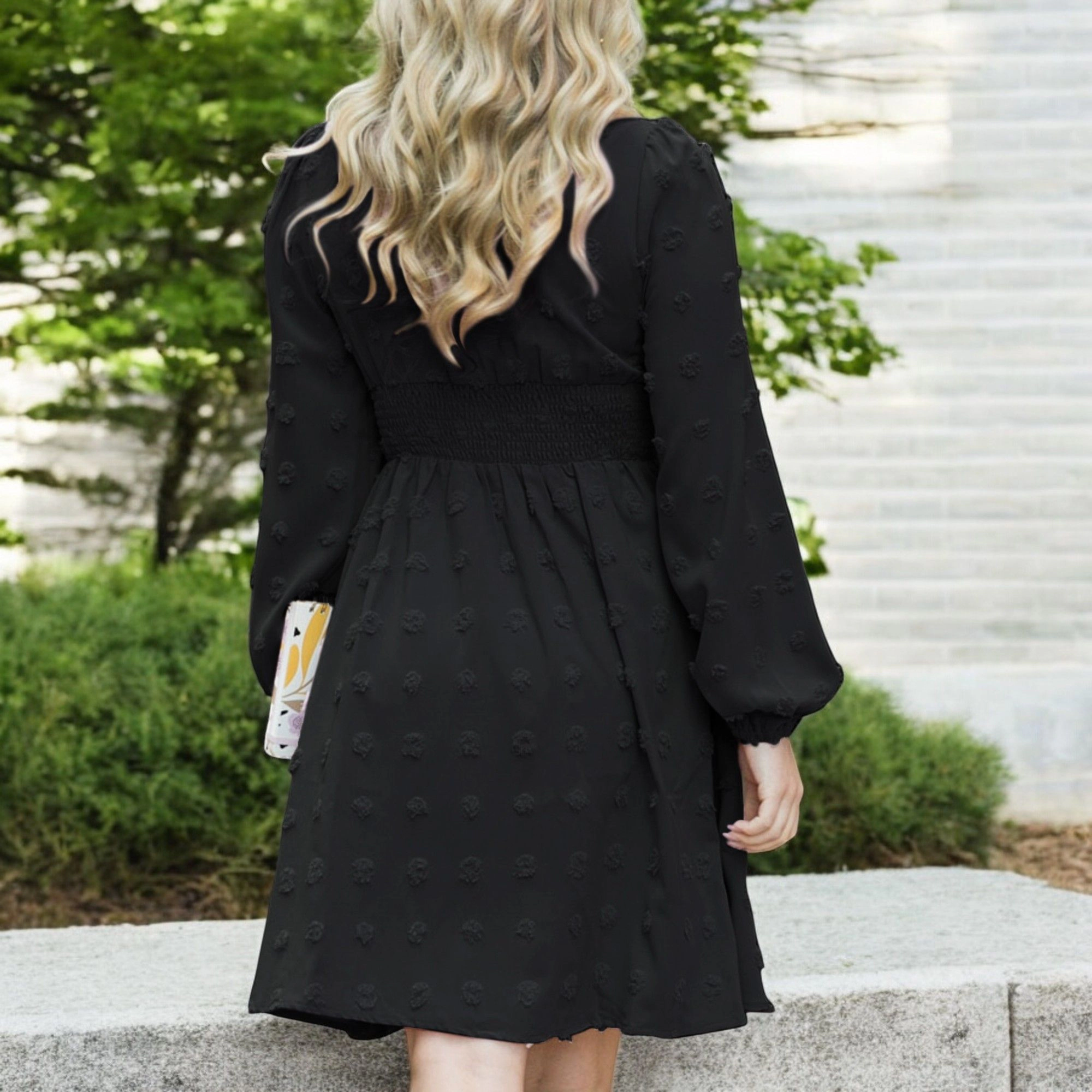 Anna-Kaci Womens Clip Dot Shirred Waist V-Neck Long Sleeve Flowy Above-Knee Dress - Black