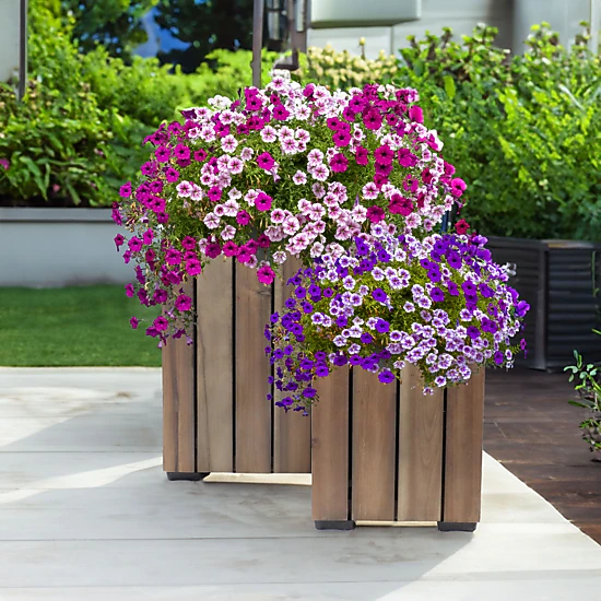 Sunnydaze 2-Piece Square Wood Planter Box with Liner, Color: Anthracite ...
