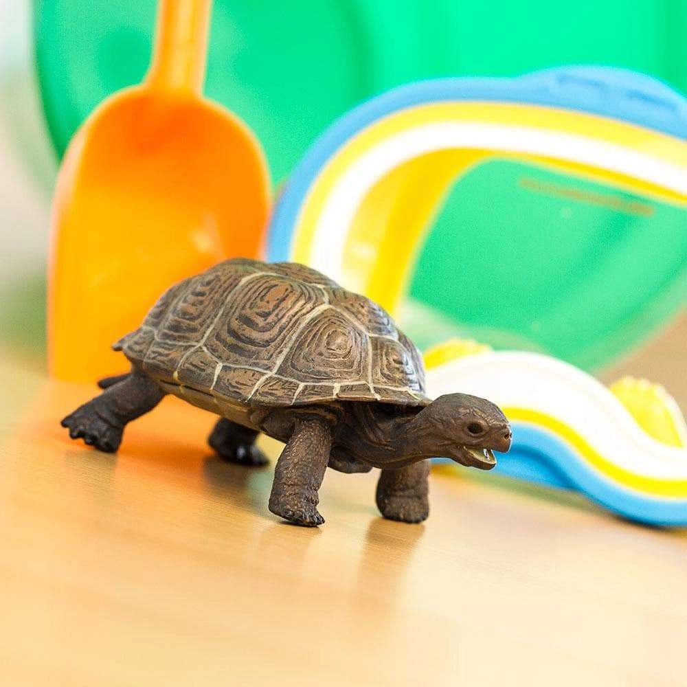 Safari Ltd. - Tortoise Baby Kids Toy Figure