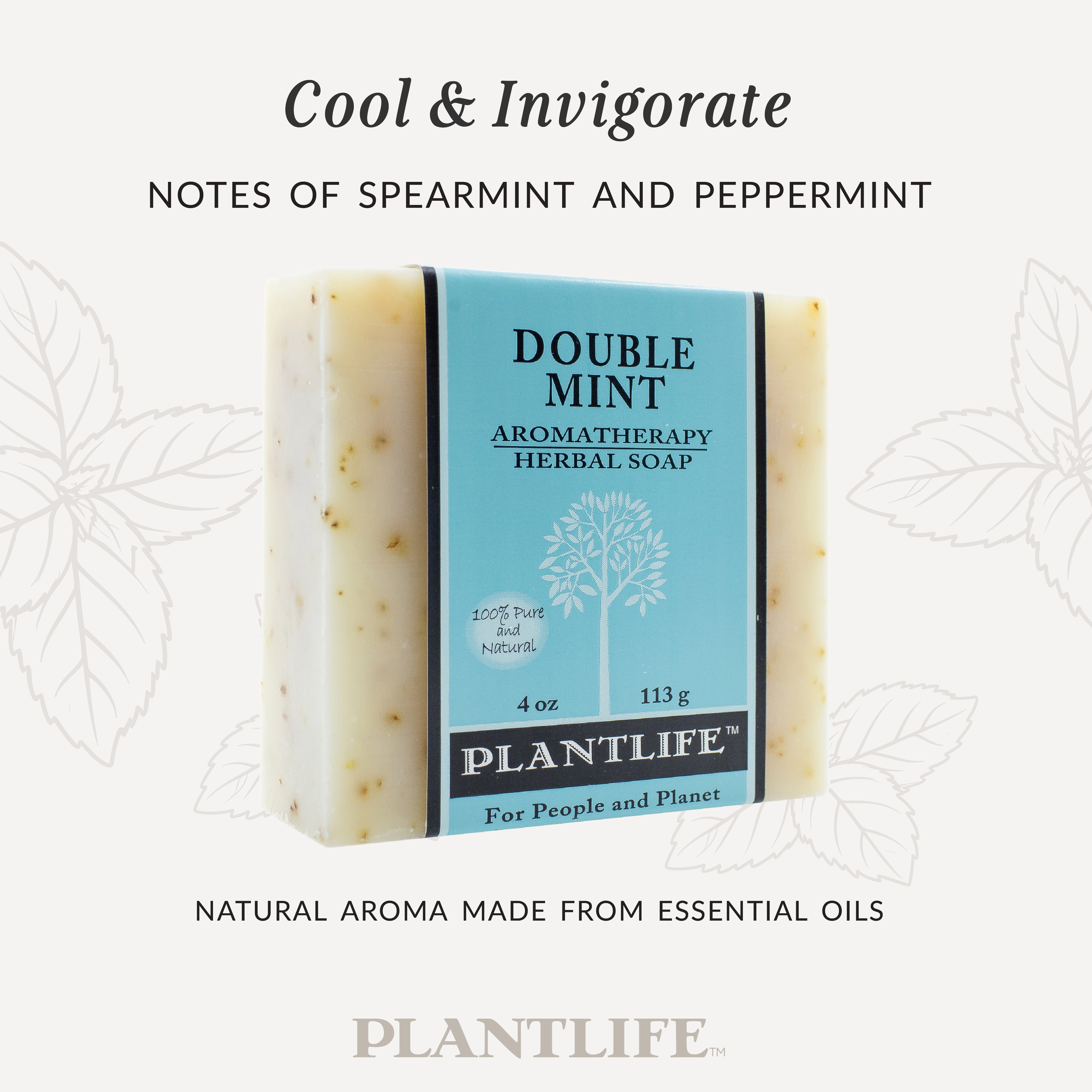 Plantlife Double Mint Aromatherapy Herbal Soap