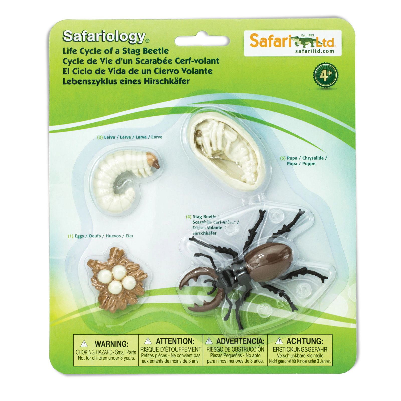Safari Ltd. - Life Cycle of a Stag Beetle - Miniature Lifecycle Collection Toy