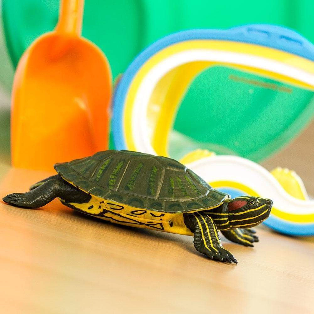 Safari Ltd. - Red-Eared Slider Turtle Kids Toy Figure