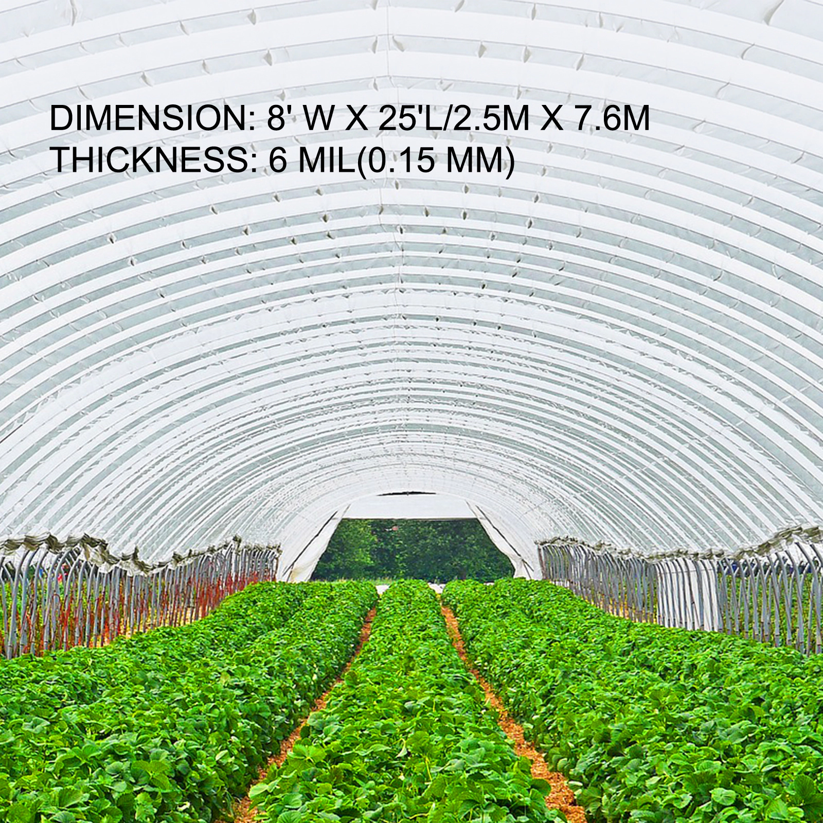 HONGGE Greenhouse Film Greenhouse Polyethylene Film Greenhouse Plastic Greenhouse Clear Plastic Film UV Resistant