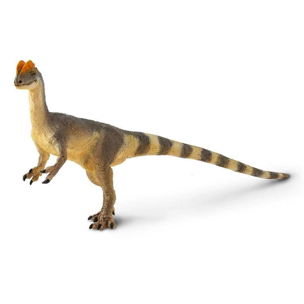 Safari Ltd. - Dilophosaurus Kids Prehistoric/Dinosaur Toy Figure