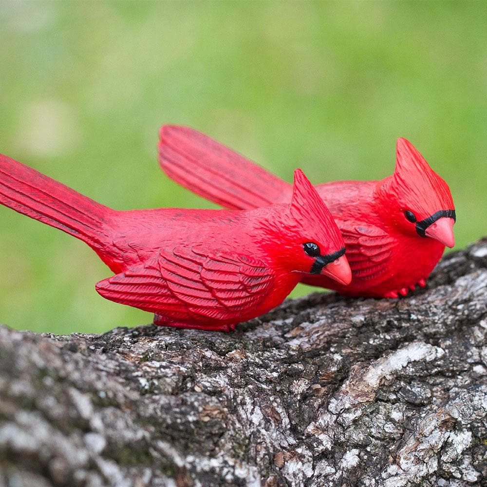 Safari Ltd. - Cardinal Kids Toy Figure