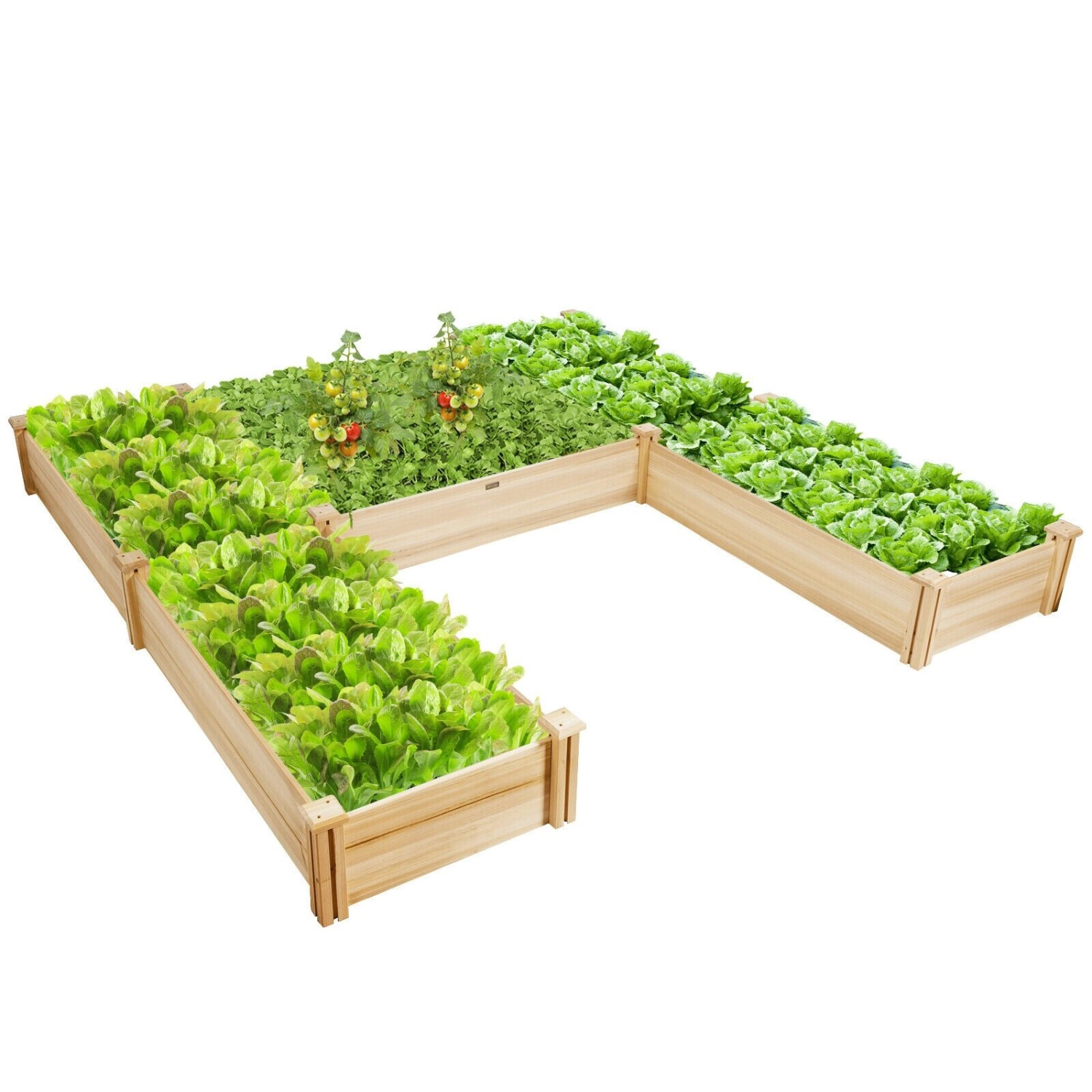 LJG U-Shaped Wooden Garden Raised Bed for Backyard and Patio