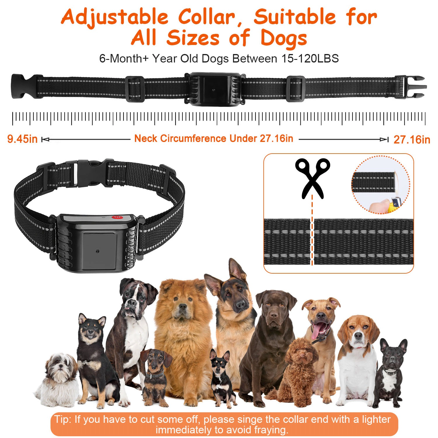 GBruno 2-in-1 Wireless Dog Fence Training Collar