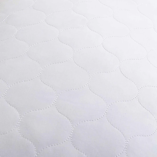 PEACENEST Quilted Goose Feather Bed Pillows with Soft Shell,Set of 2