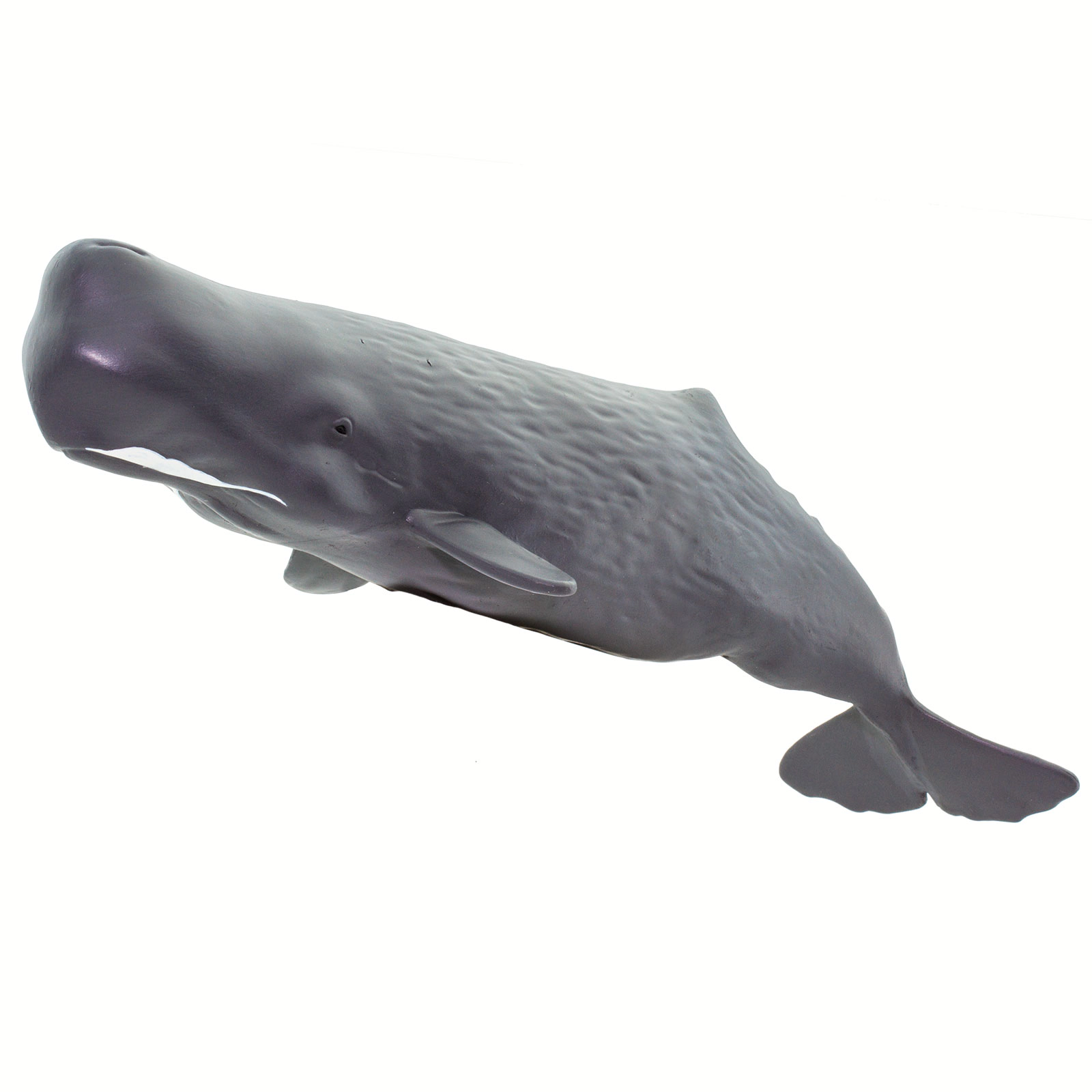 Safari Ltd. - Sperm Whale Kids Toy Figure