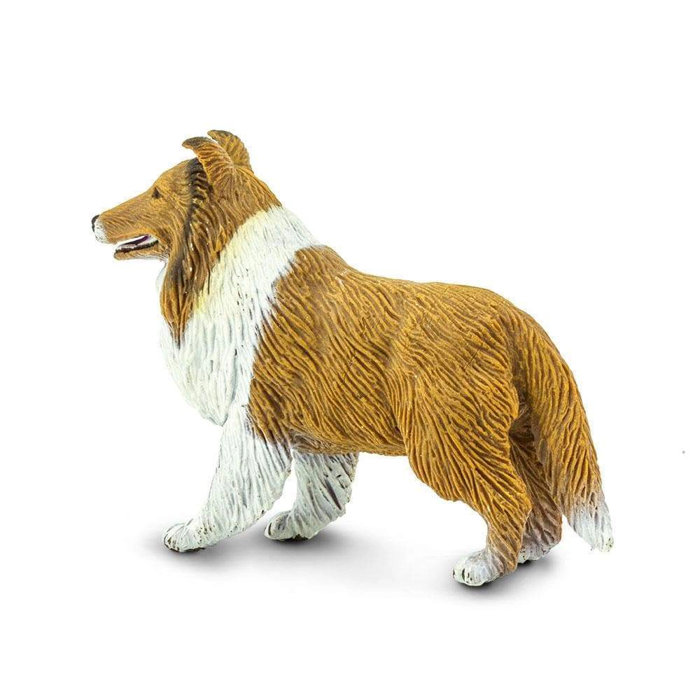 Safari Ltd. - Collie Kids Toy Figure