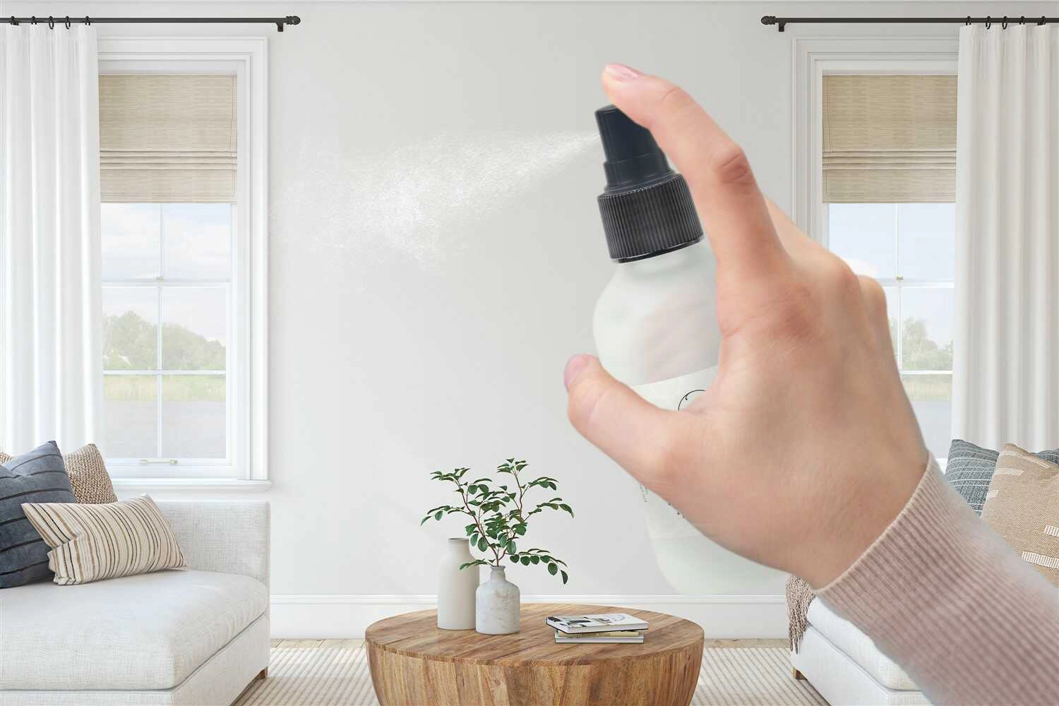 Lizush  Eucalyptus Mist 3-in-1 Home Spray - 4 oz frosted glass, Room Spray Fabric Freshener Shower Steamer
