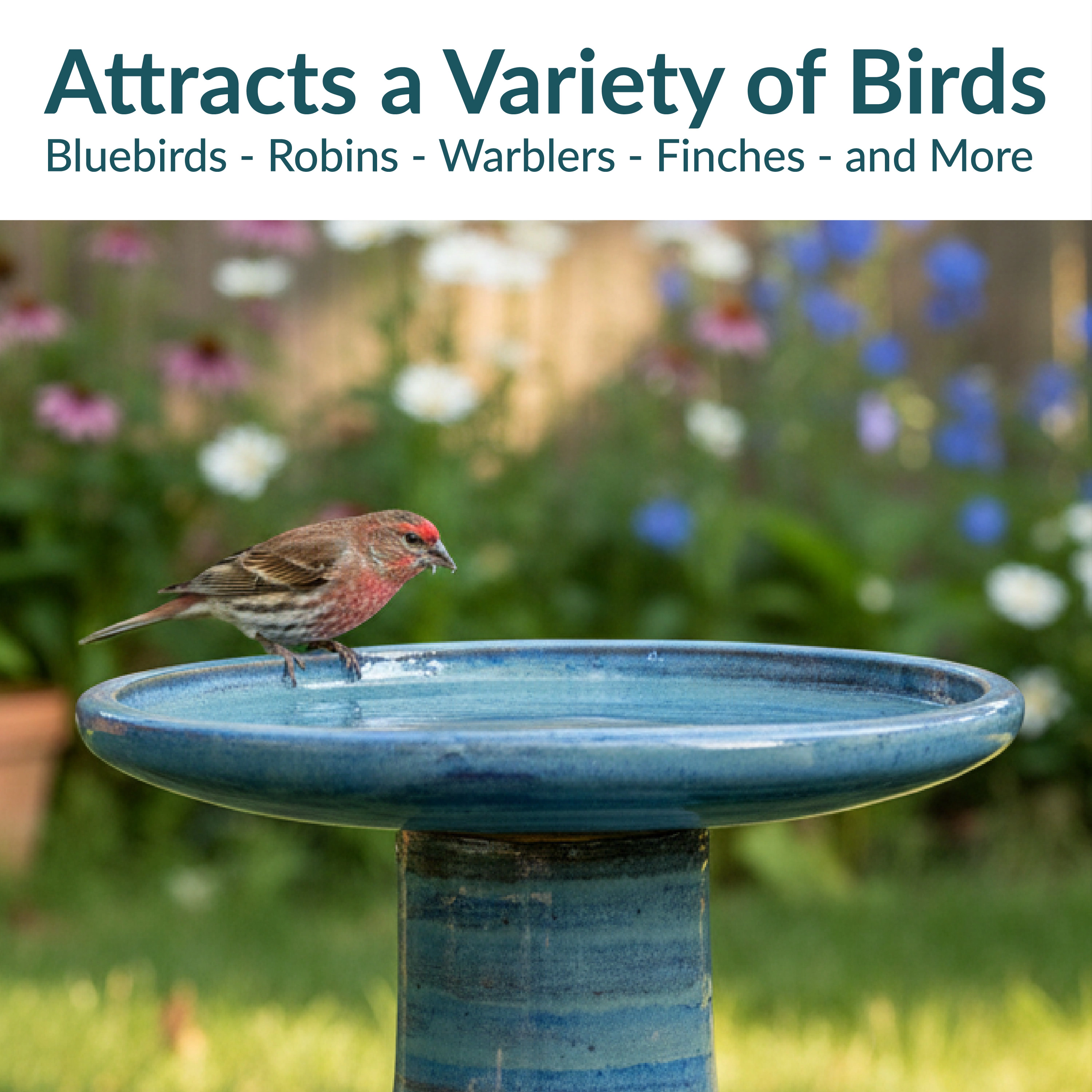 Sunnydaze Ceramic Bird Bath, Weather-Resistant Finish, 21” H, Cloud Swirl