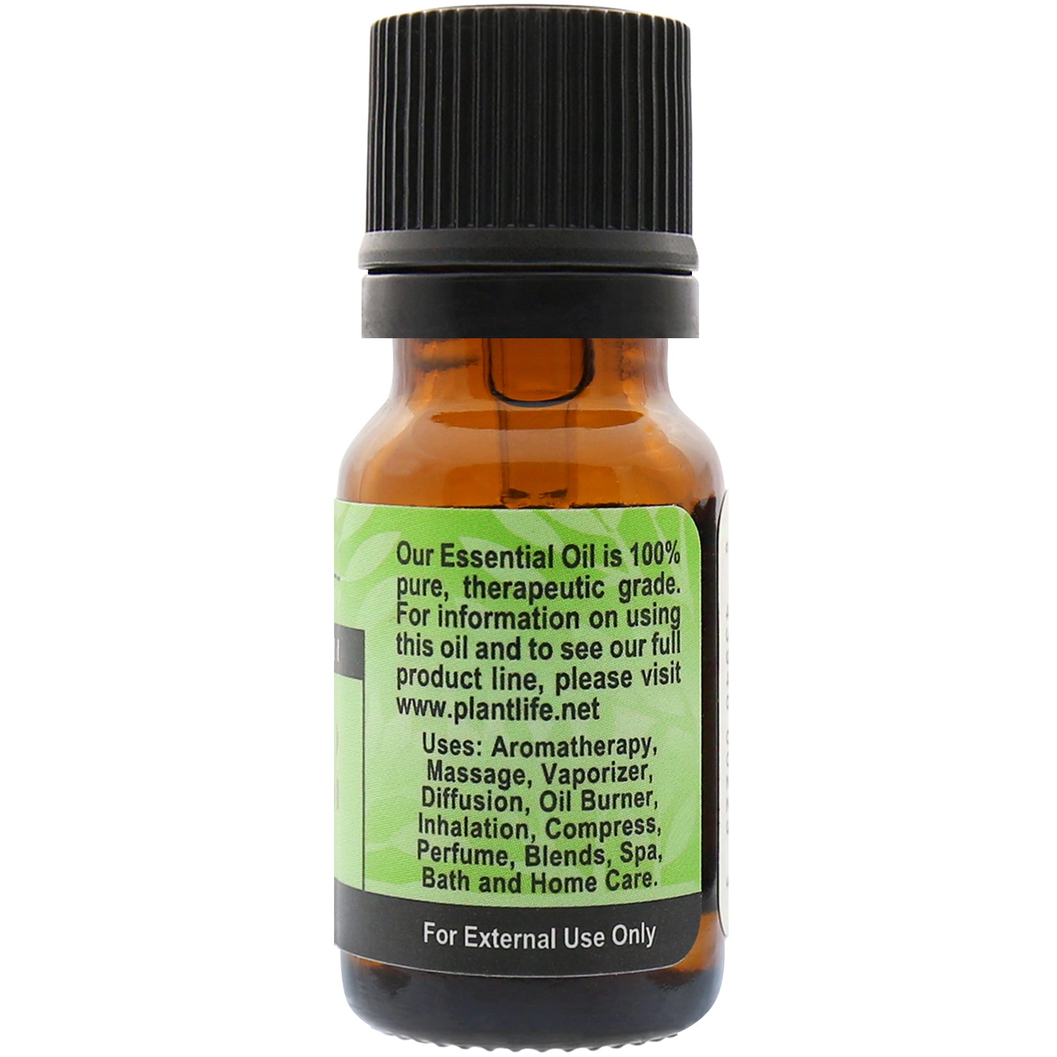 Plantlife Celery Seed Essential Oil
