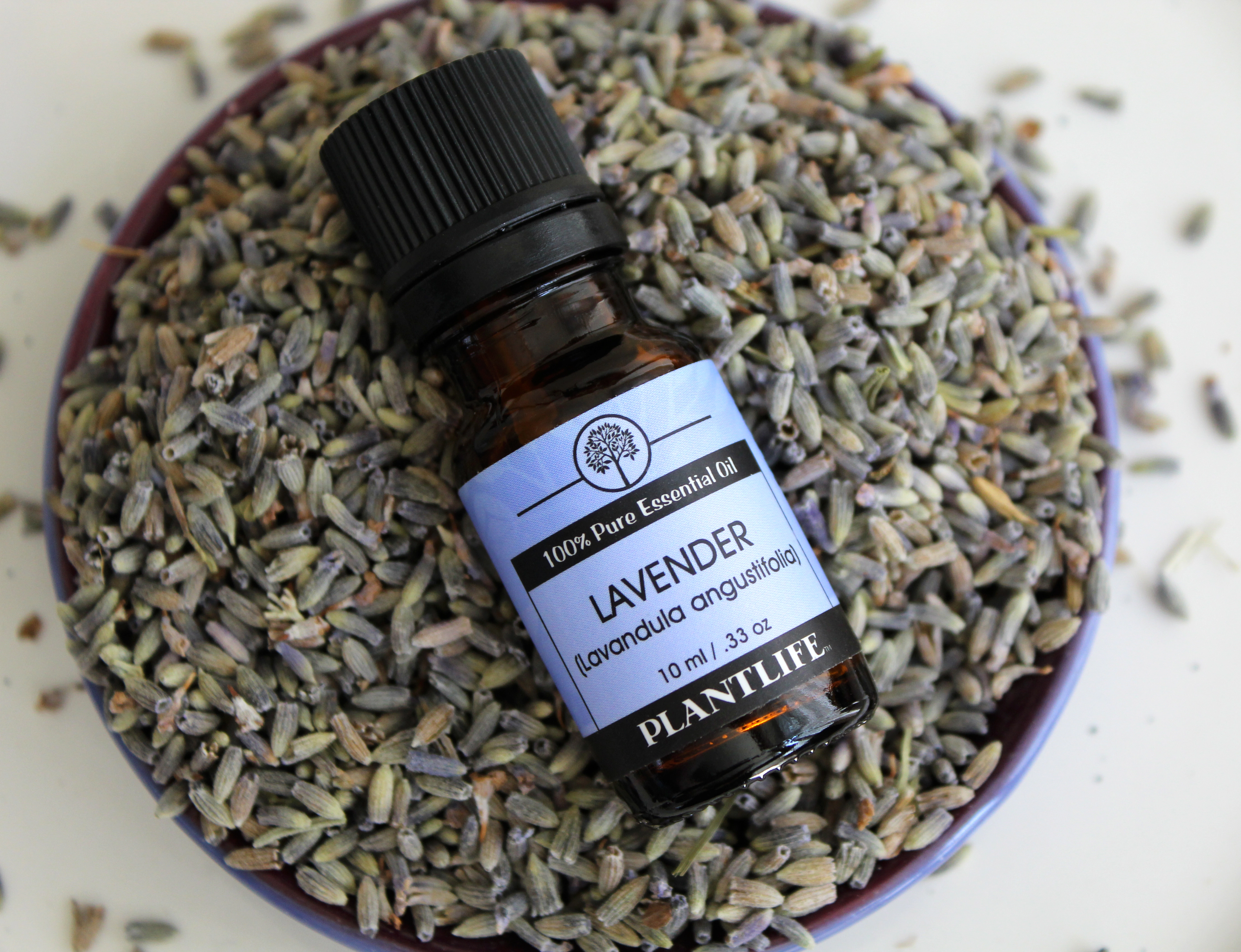 Plantlife Top Single Notes Essential Oil Set 3-Pack – Eucalyptus, Lavender & Tea Tree