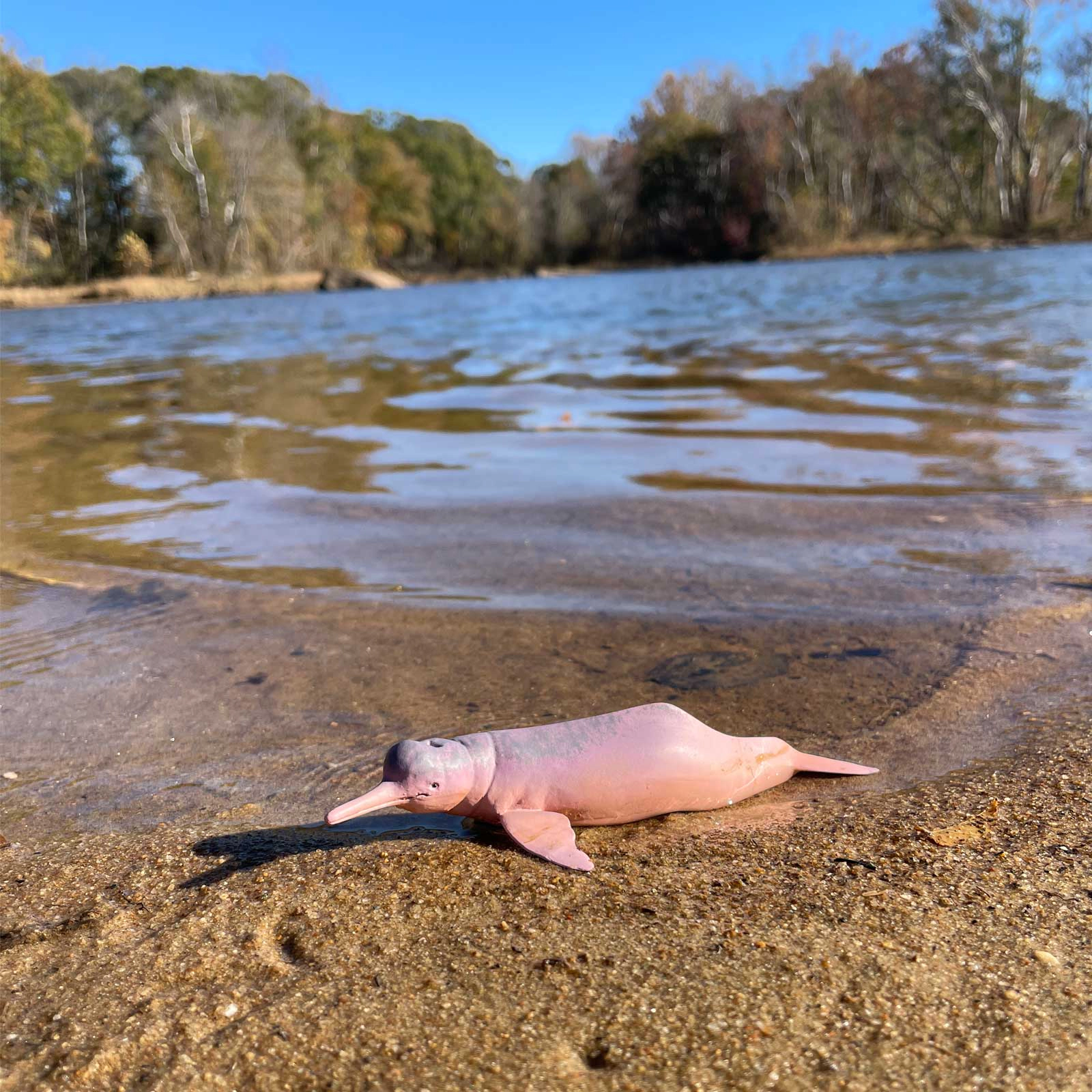 Safari Ltd. - Amazon River Dolpin Kids Toy Figure