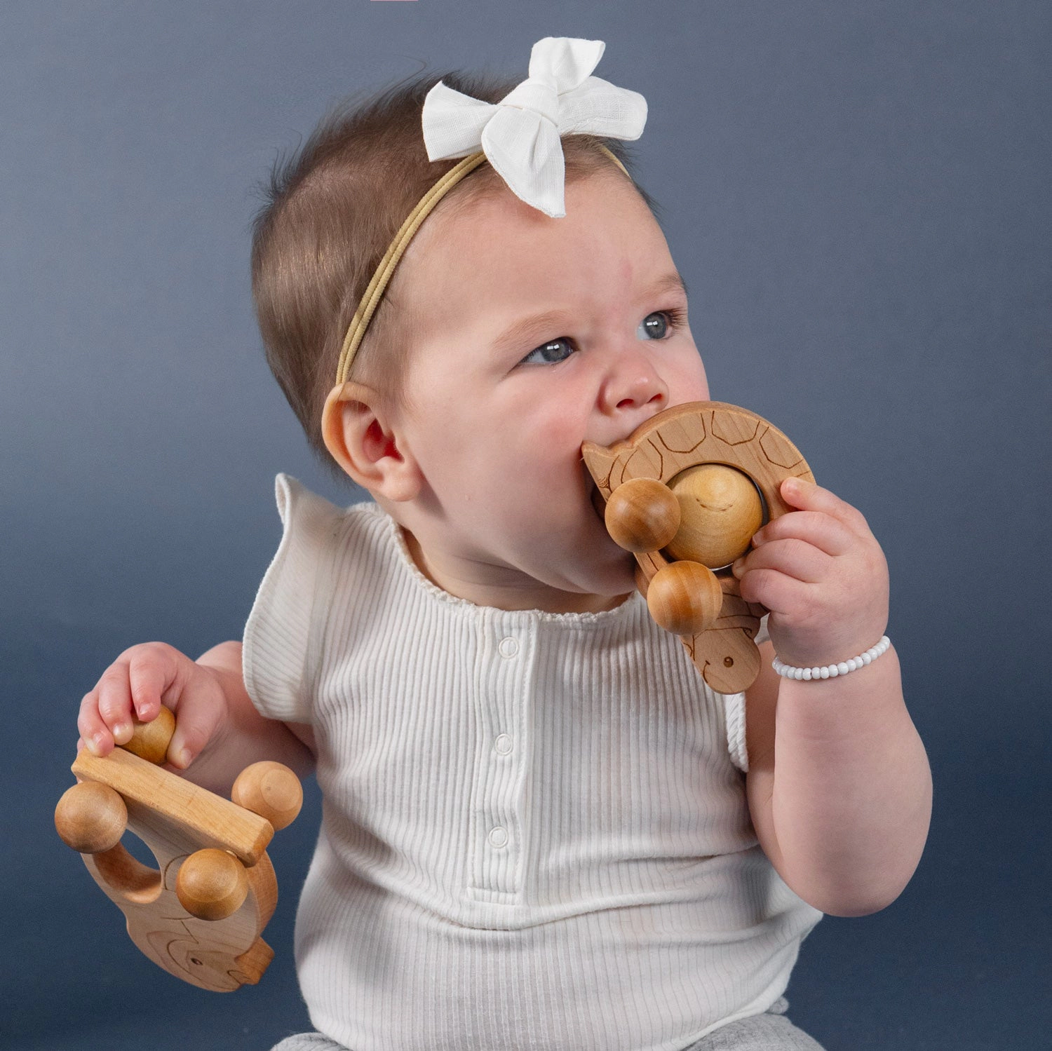 Roly Poly Turtle Push Toy - Natural Wood, Made in USA
