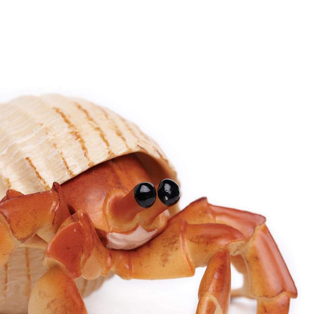 Safari Ltd. - Hermit Crab Kids Toy Figure