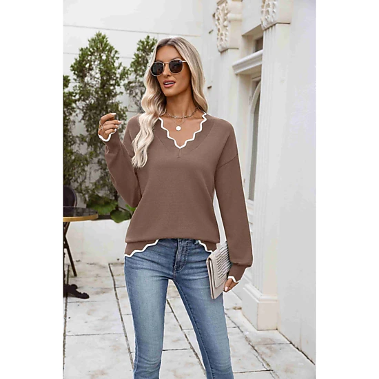 Zeagoo Women's Printed Long Sleeve V-Neck Knit Pullover