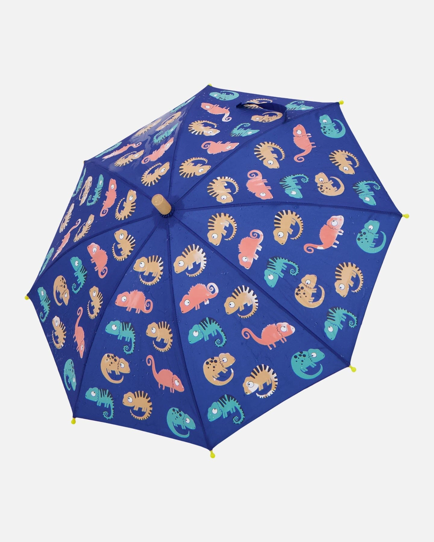 Deux par Deux Boys Color-Changing Umbrella Chameleon Print