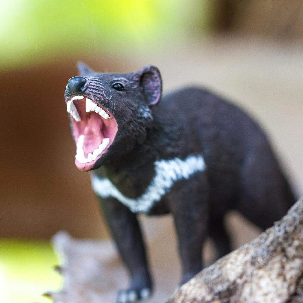 Safari Ltd. - Tasmanian Devil Kids Toy Figure