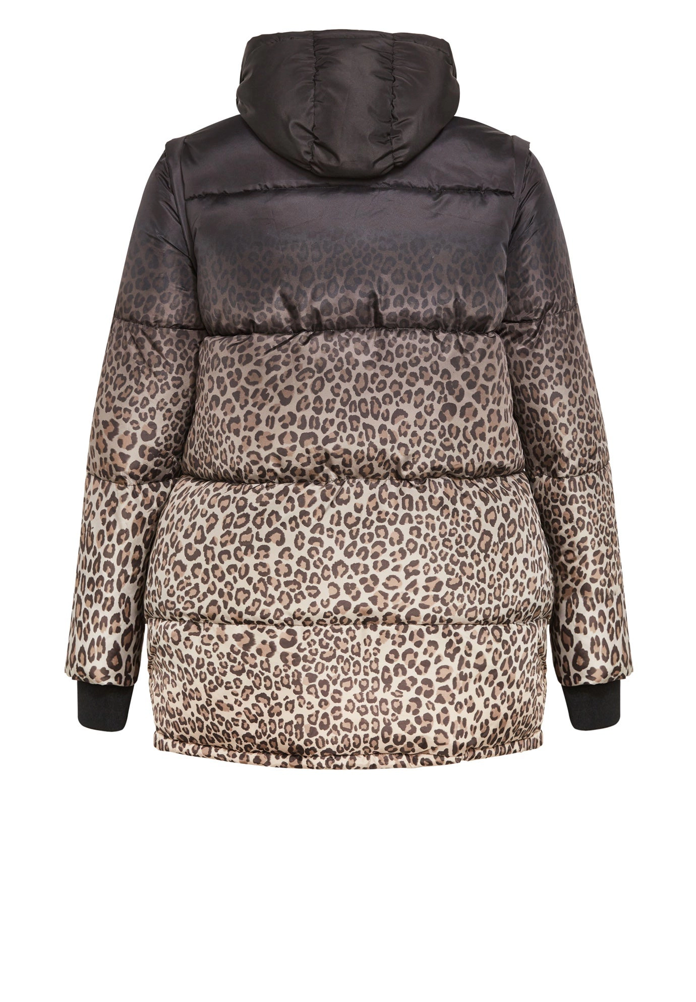 Avenue Women's Plus Size Indi Print Puffer Jacket