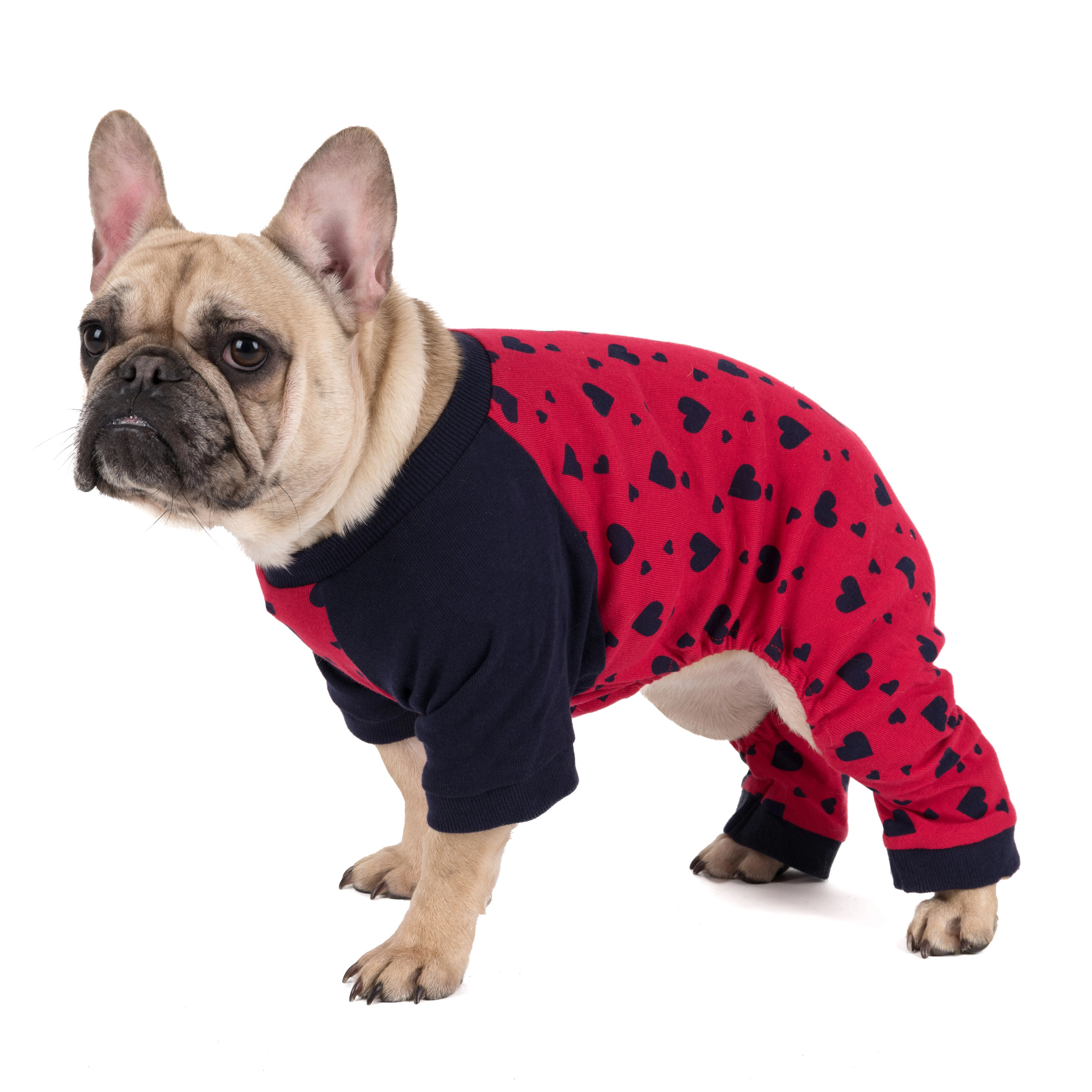 Leveret Dog Cotton Navy Hearts Valentine Pajamas